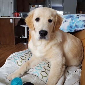 Meet your Posher, Meredith